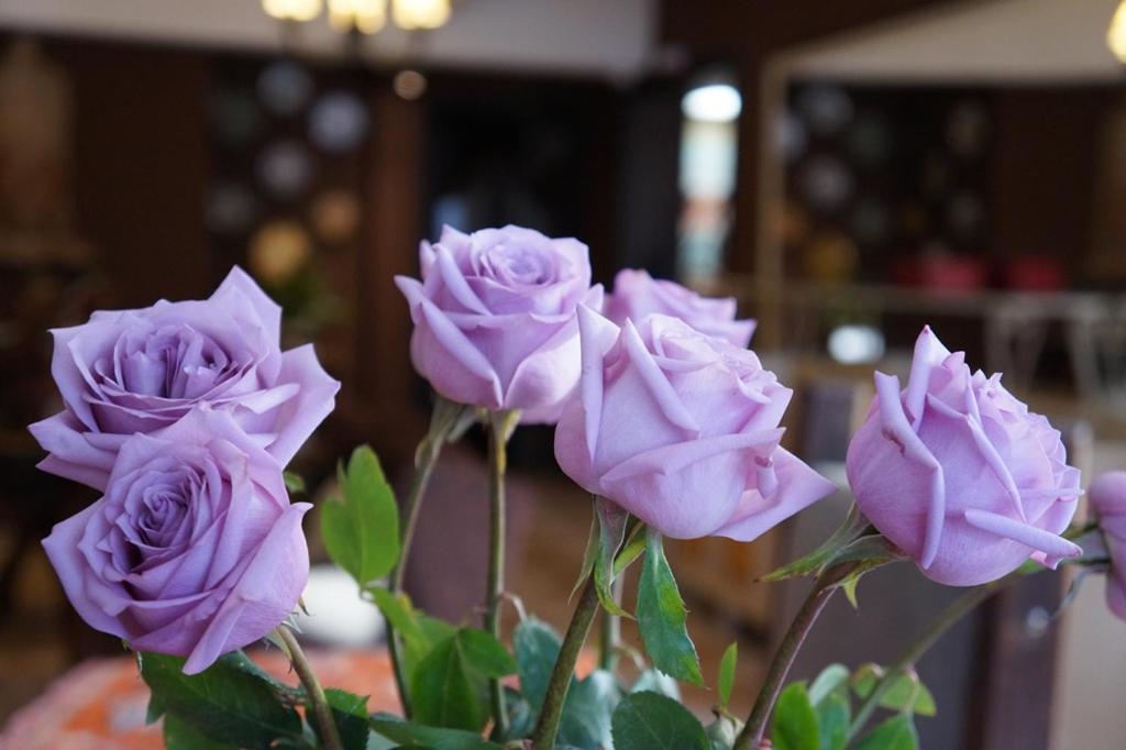 Don Ramon Hotel & Spa Canela Kültér fotó